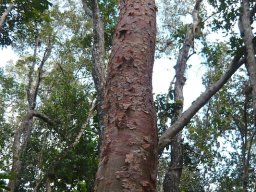 Florida_2007-2008-049